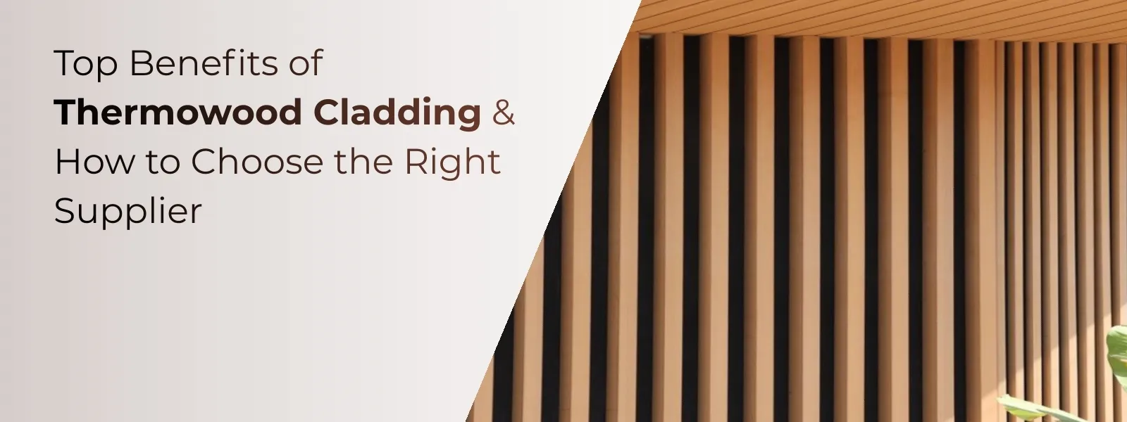 Top Benefits of Thermowood Cladding & How to Choose the Right Supplier